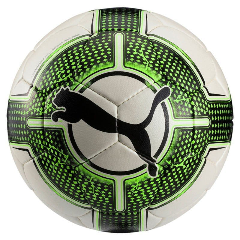 Fotbalový míč Puma evoPOWER 4.3 Club