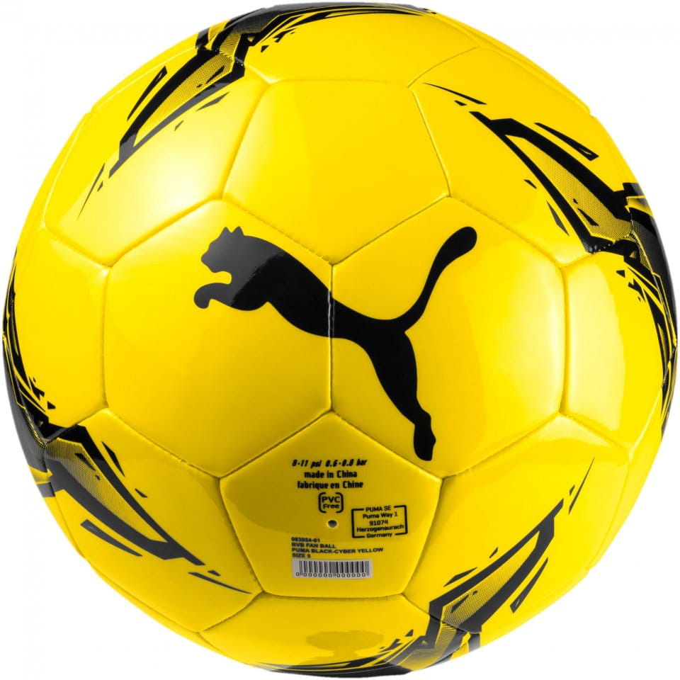 Tréninkový míč Puma BVB Fan