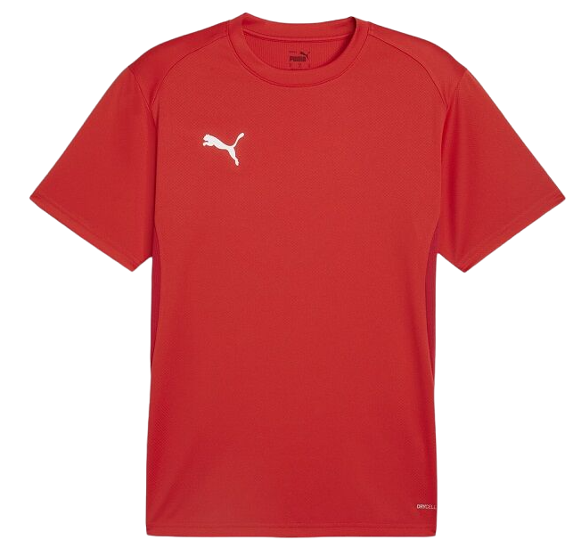 Pánské tréninkové tričko s krátkým rukávem Puma TeamGOAL