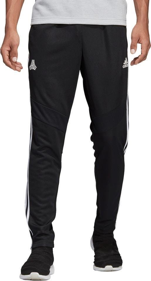 Kalhoty adidas Sportswear TAN TR PANT