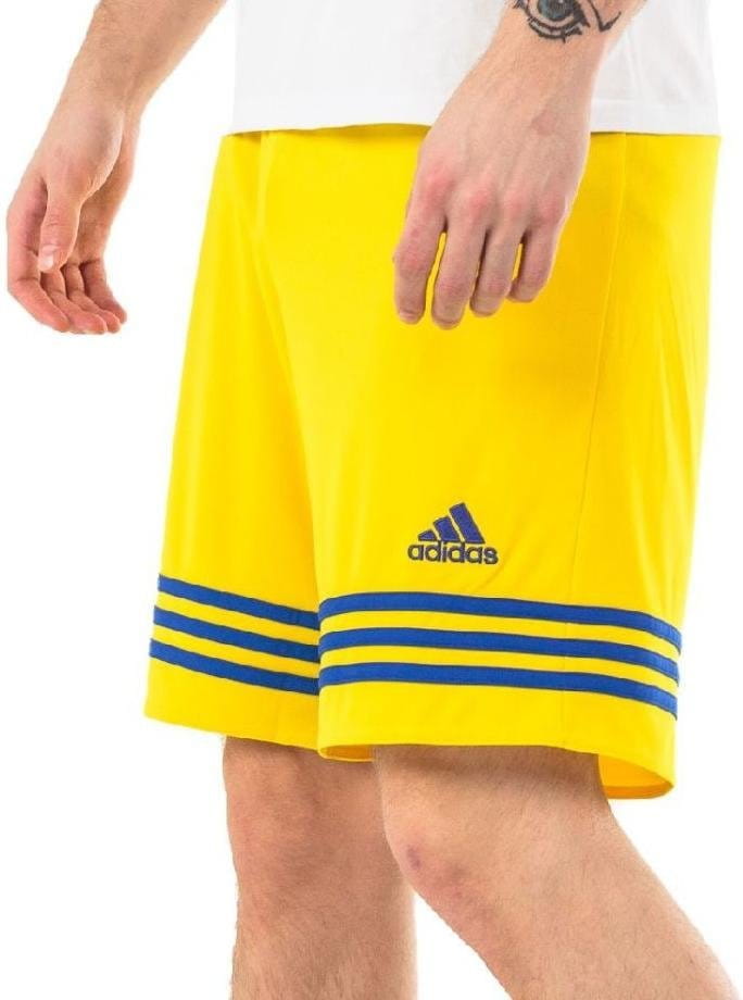 Pánské fotbalové šortky adidas Entrada 14